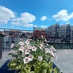 Przystan 18 公寓 格但斯克